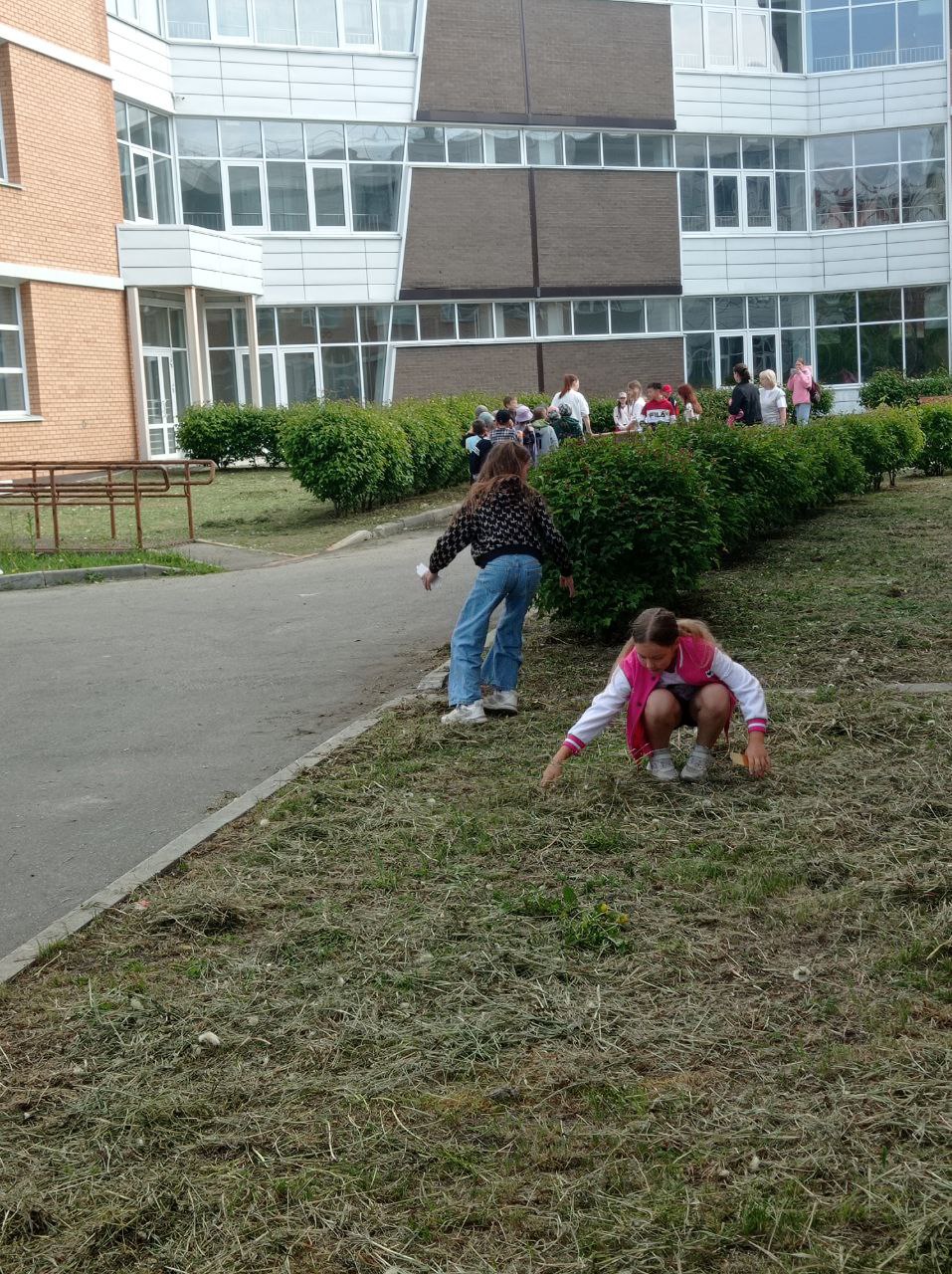 Изображения.
